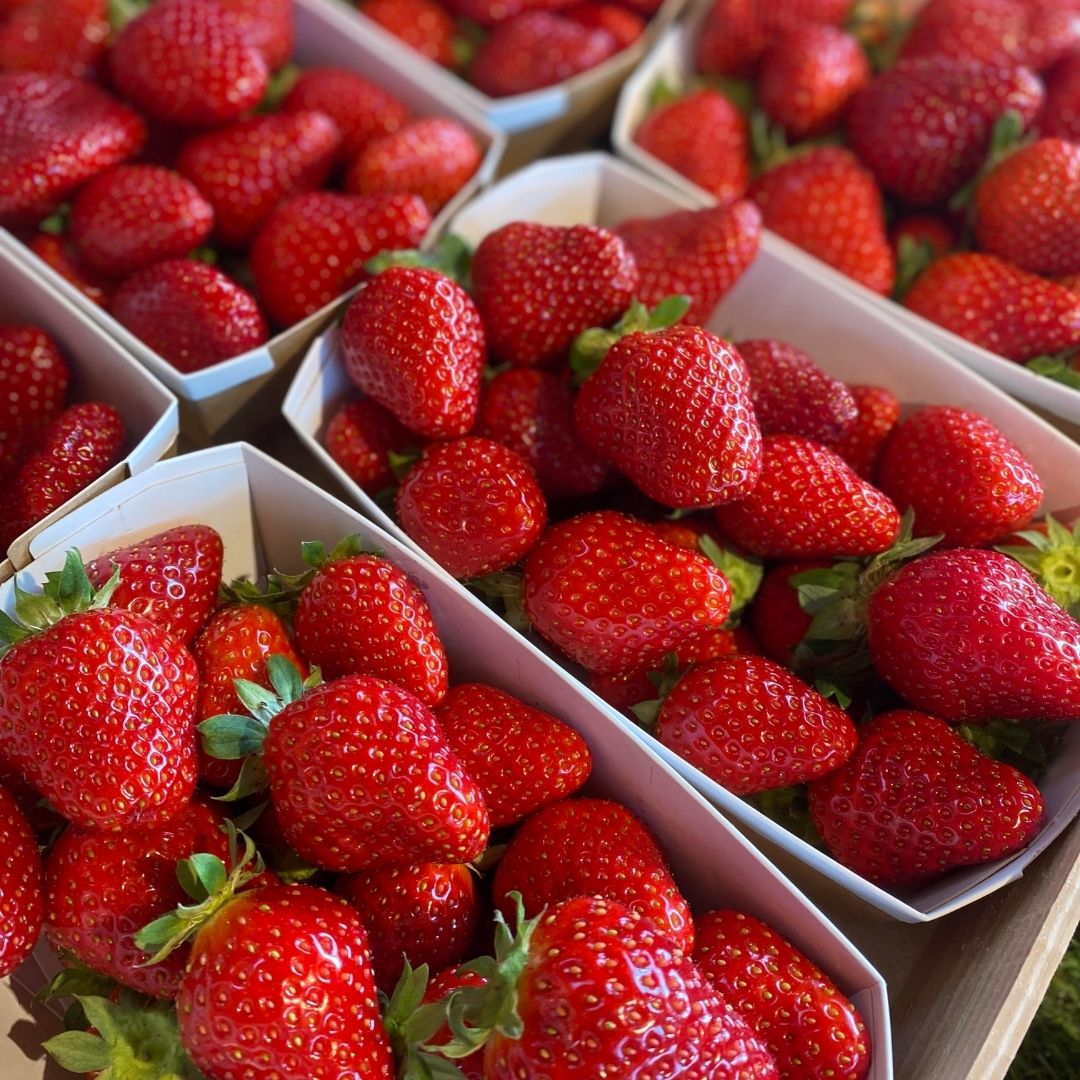 Fruits frais